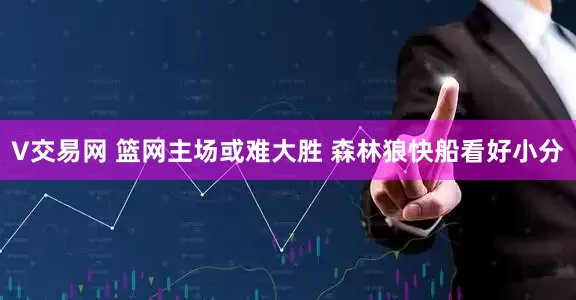 V交易网 篮网主场或难大胜 森林狼快船看好小分