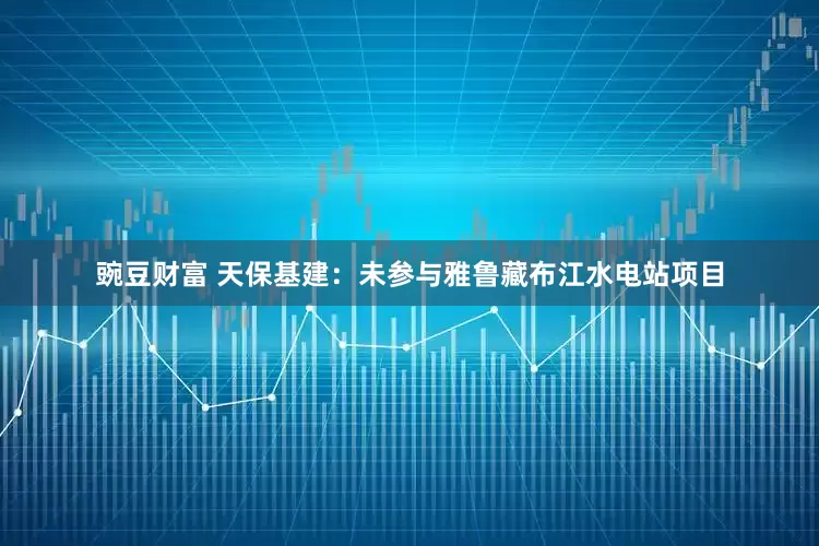 豌豆财富 天保基建：未参与雅鲁藏布江水电站项目