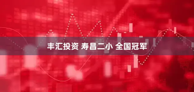 丰汇投资 寿昌二小 全国冠军